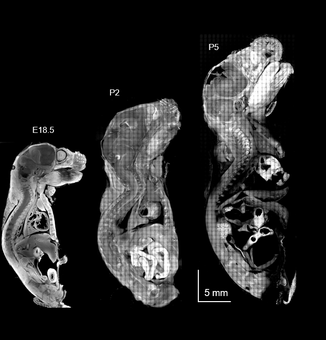 Imaging Chemistry and Expansion Engineering